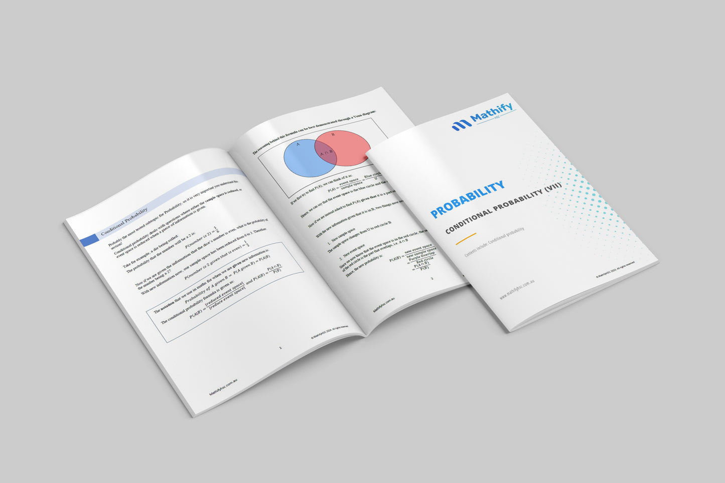 Year 11 Probability & Statistical Analysis Workbooks Set